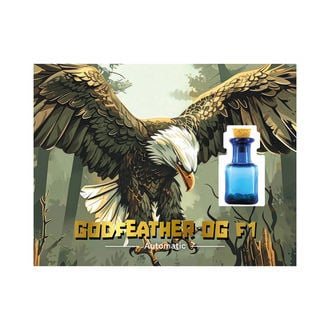 Godfeather OG F1 Auto (Zamnesia Seeds) féminisée