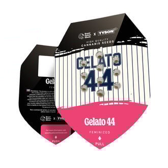 Gelato 44 (Royal Queen Seeds) féminisée