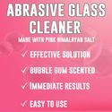 Abrasive Cleaner Plus – Bubble Gum Scent- 16oz (Pink Formula)
