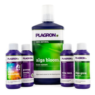 Top Grow Box 100 % NATURAL (Plagron)