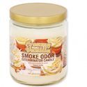 Candle Creamy Vanilla (Smoke Odor Eliminator) 13oz