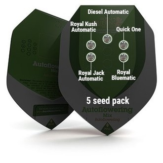 Autofloraison Mix (Royal Queen Seeds) féminisée
