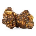Truffes Magiques Titan (Zamnesia)