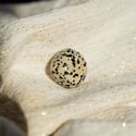 Jaspe dalmatien