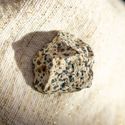 Jaspe dalmatien