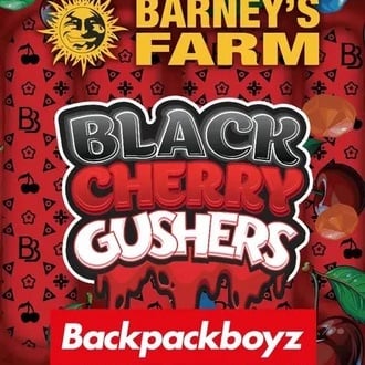 Black Cherry Gushers (Barney's Farm x Backpackboyz) féminisée