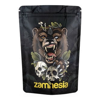 Sachets zip Roaring Bear - Grand