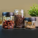 Bocal en verre VacuFresh (Zamnesia)