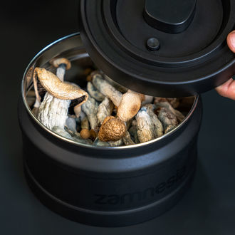 Contenant en acier VacuFresh (Zamnesia)