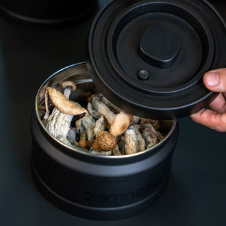 Contenant en acier VacuFresh (Zamnesia)