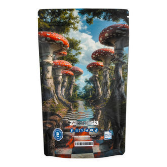 Sachets de stockage Z-Lock Zammi in Wonderland (Extra Large)