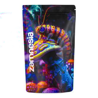 Sachets de stockage Z-Lock Zammi in Wonderland (Extra Large)