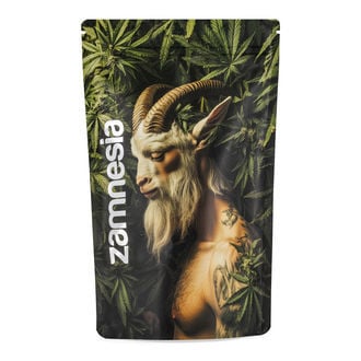 Sachets de stockage Z-Lock créatures mythiques (Extra Large)