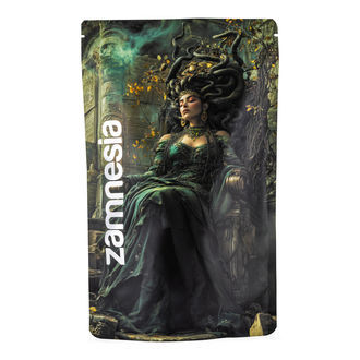 Sachet de stockage Z-Lock Méduse (Extra Large)