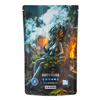 Sachet de stockage Z-Lock Méduse (Extra Large)