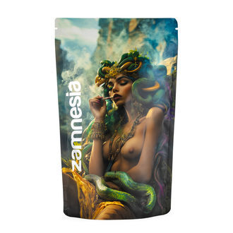 Sachet de stockage Z-Lock Méduse (Extra Large)