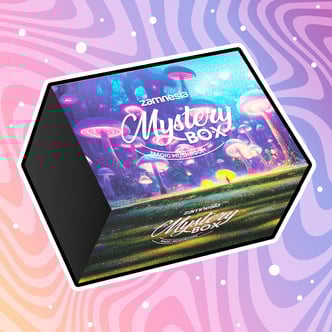 Boîte surprise Champignons Hallucinogènes (Zamnesia)