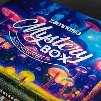 Boîte surprise Champignons Hallucinogènes (Zamnesia)