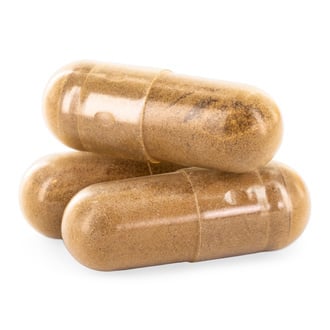 Gélules de Champignon Crinière de Lion (Zamnesia)