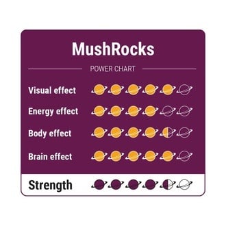 Truffes magiques MushRocks