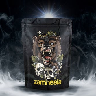 Pack Trésor TRIBE « Roaring Bear »