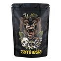 Pack Trésor TRIBE « Roaring Bear »