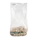 Ready-2-Grow Bag 'Enigma' Zamnesia