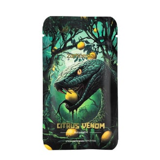 Citrus Venom Auto (Zamnesia Seeds) féminisée
