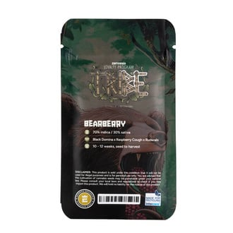 Bearberry Auto (Zamnesia Seeds) féminisée