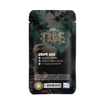Grape God Auto (Zamnesia Seeds) féminisée