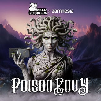 Poison Envy (Seedstockers x Zamnesia Seeds) féminisée