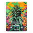Pack Indica Auto In-Di-Couch - Variétés à Auto