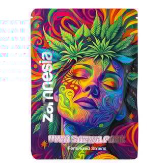 Pack Viva Sativa - Variétés féminisées