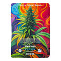 Pack Viva Sativa - Variétés à Auto