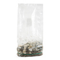 Ready-2-Grow Bag 'Bluey Vuitton' Zamnesia