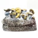 Ready-2-Grow Bag 'Bluey Vuitton' Zamnesia