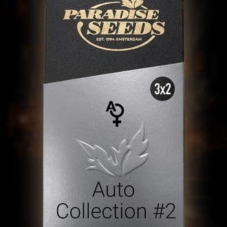 Auto Collection Pack 2 (Paradise Seeds) féminisée