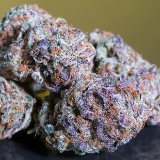 Blue Gem (Paradise Seeds) féminisées