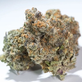 Glowstarz (Paradise Seeds) féminisée