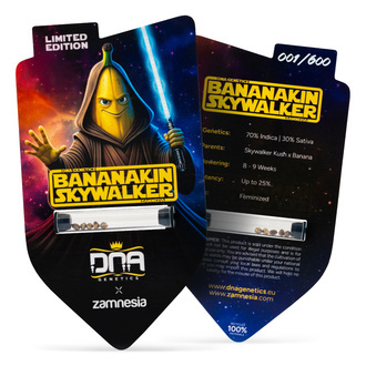 Bananakin Skywalker (Zamnesia Seeds x DNA Genetics) féminisée