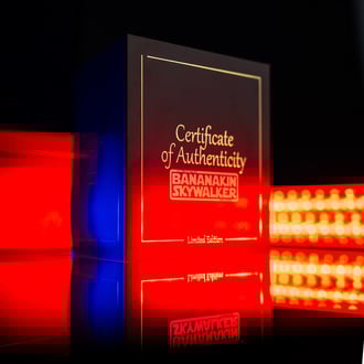 Bananakin Skywalker (Zamnesia Seeds x DNA Genetics) féminisée