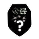 5 graines mystères à autofloraison (Royal Queen Seeds)