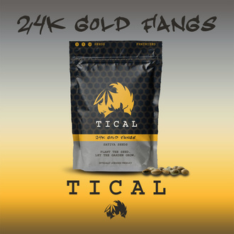 24K Gold Fangs (TICAL) féminisée