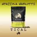 Spazzola Garletti (TICAL) féminisée