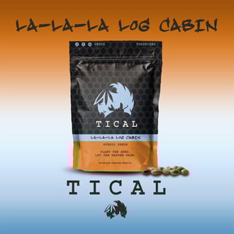 La-La-La Log Cabin (TICAL) féminisée