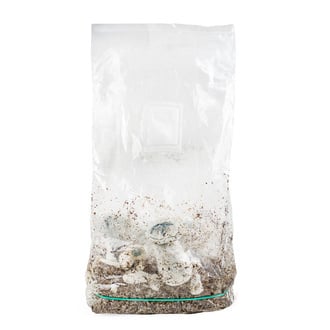 Ready-2-Grow Bag 'APE' Zamnesia