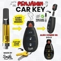 Car Key Penjamin (Smyle Labs)