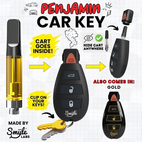Car Key Penjamin (Smyle Labs)