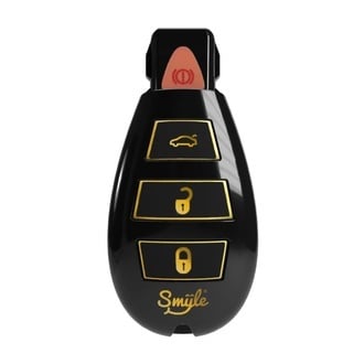 Car Key Penjamin (Smyle Labs)
