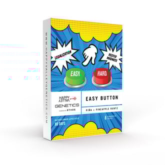 Easy Button (Happy Valley Genetics) féminisée